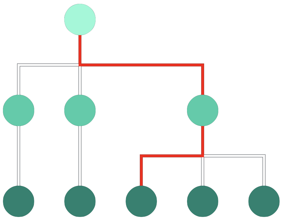 graph showing direct links in an organic layout